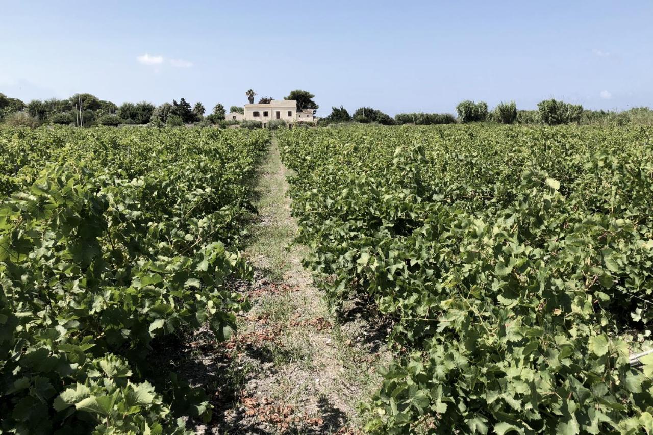 Villa Salinara Marsala Exterior foto